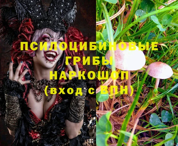 дурь Баксан